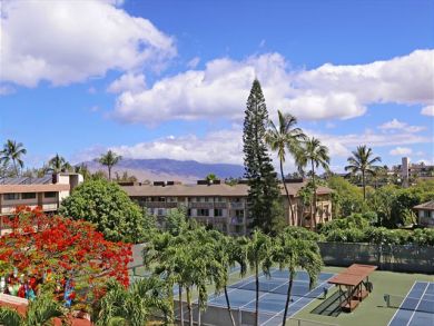 Wailea Condo 896112